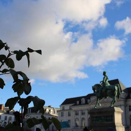 The Garden, Proche Bord De Loire Apartment Orleans Ngoại thất bức ảnh
