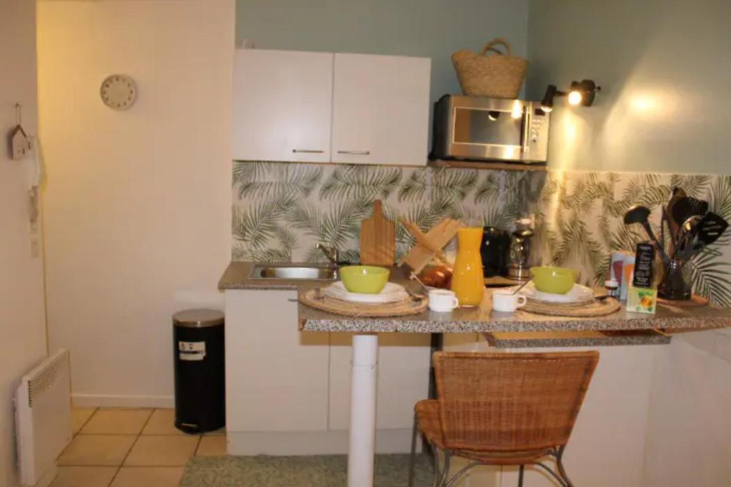 The Garden, Proche Bord De Loire Apartment Orleans Ngoại thất bức ảnh
