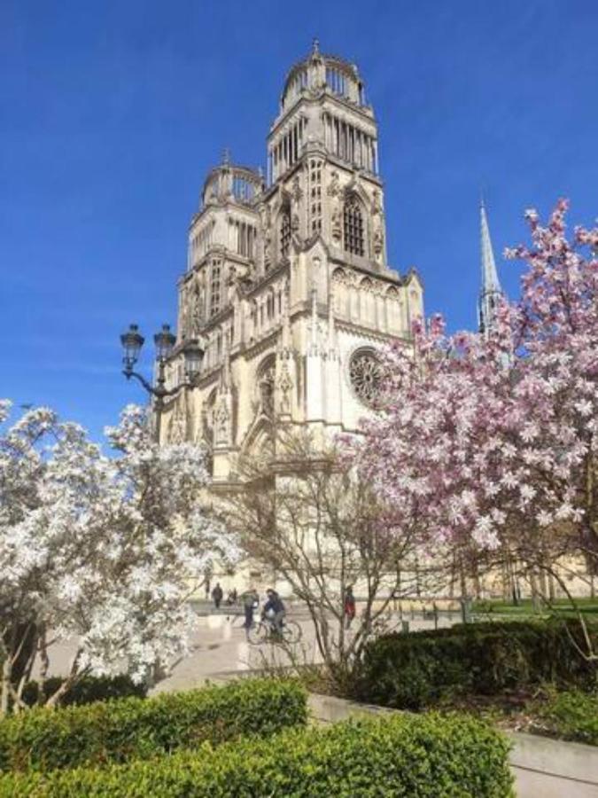 The Garden, Proche Bord De Loire Apartment Orleans Ngoại thất bức ảnh